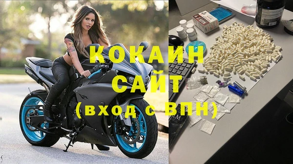2c-b Бородино