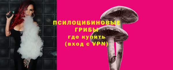 2c-b Бородино