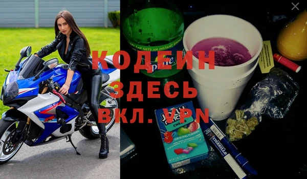 2c-b Бородино