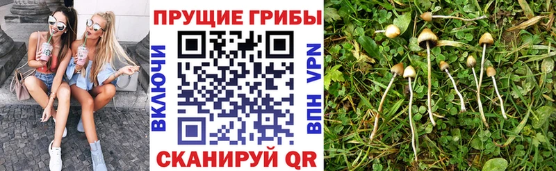 Галлюциногенные грибы Magic Shrooms  наркотики  Яблоновский 